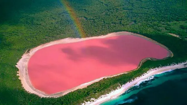 Hillier Lake yang berwarna merah muda (Foto- hillierlake.com)