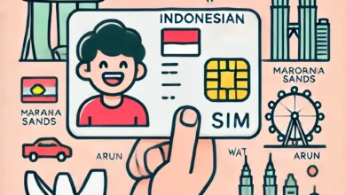 SIM Indonesia Bisa Berlaku di Negara-negara ASEAN Mulai 2025