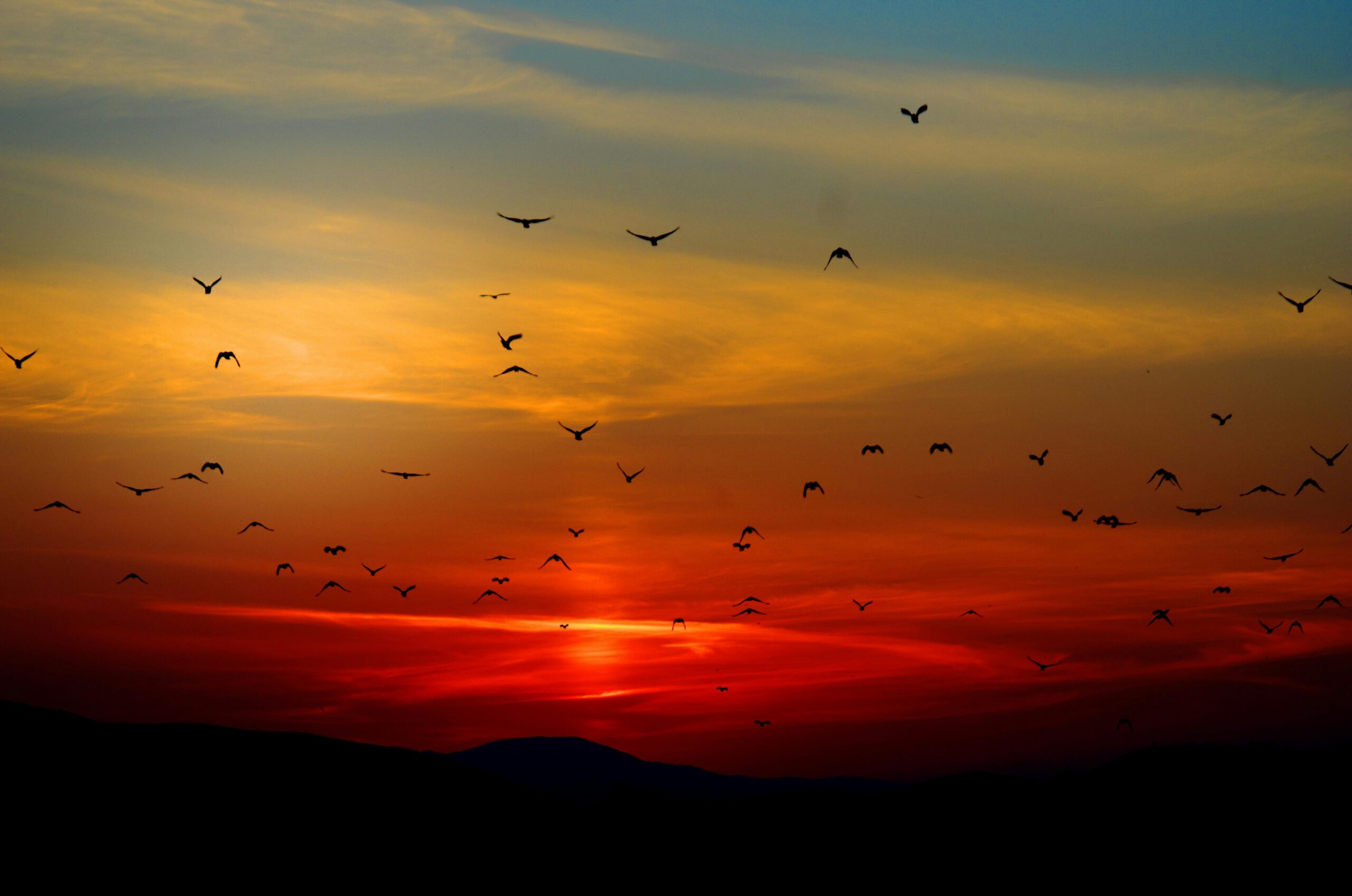 Dok. Pixabay