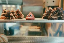 Dok. cknguyen on pexels