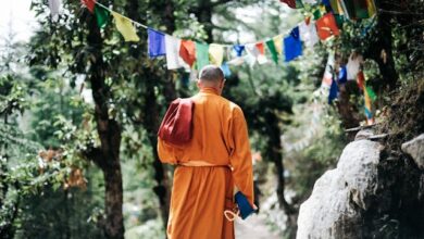 Photo by Wouter de Jong on Pexels