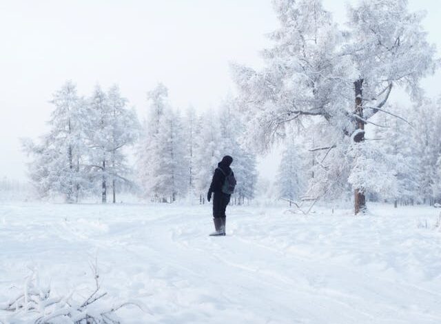 Photo by Diana Vorobeva-Attyakova
