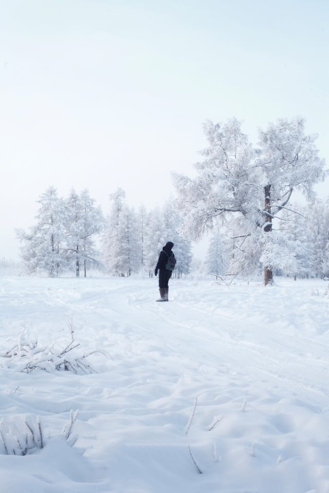 Photo by Diana Vorobeva-Attyakova