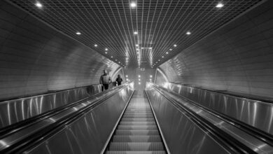 Photo by Plastic Lines on pexels