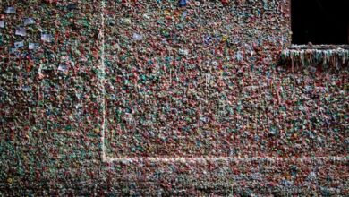 Dok. Stephen Leonardi on Pexels