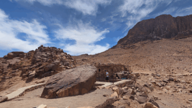 Image by. Google Maps