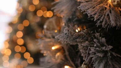 Photo by Valeria Boltneva on Pexels