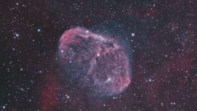 Photo by David Kopacz on Pexels