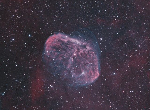 Photo by David Kopacz on Pexels