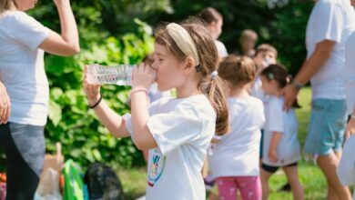 Dok. Andreevaleksandar on Pexels