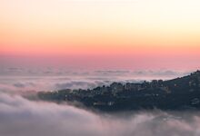 Dok. Jokassis (pexels)