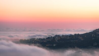 Dok. Jokassis (pexels)