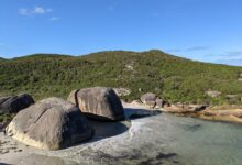 Dok. Elephant Rocks on Pexels (Marley Kimani)