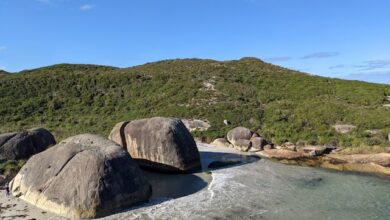 Dok. Elephant Rocks on Pexels (Marley Kimani)