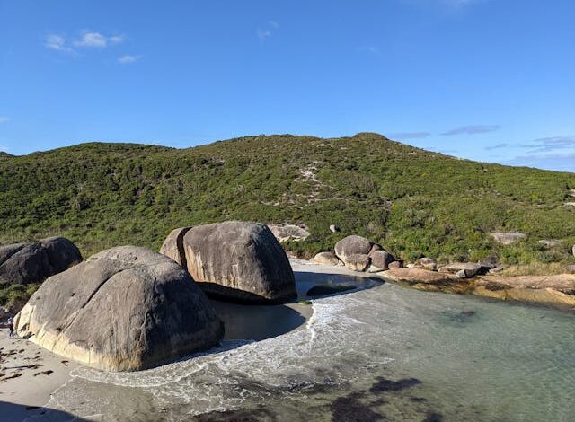 Dok. Elephant Rocks on Pexels (Marley Kimani)