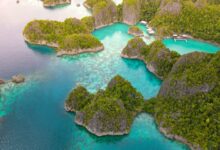 Dok. Andi Saiful Sidik On Pexels