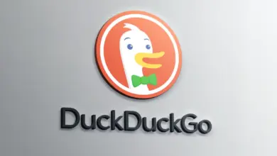 DuckDuckGo (Logo)
