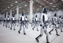 Dok. Humanoid Robotics Technology
